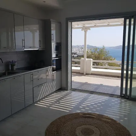 Panoramic View Mykonos 아파트 *